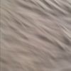 sophiashop262